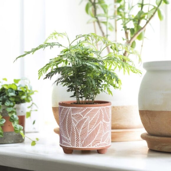 Decorative Terracotta & White Leaf Print Ceramic Planter Pots | Set of 2 - Picture 1 of 12